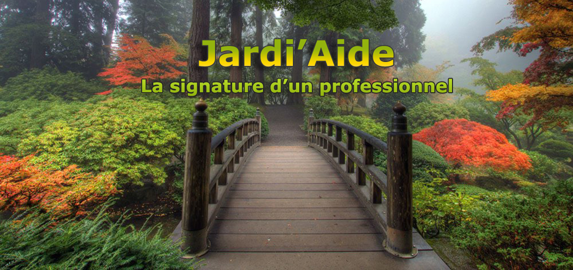 jardin japonais avec logo